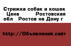 Стрижка собак и кошек › Цена ­ 800 - Ростовская обл., Ростов-на-Дону г.  »    